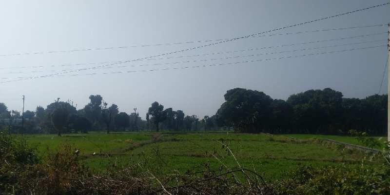 Agricultural Land 6 Bigha for Sale in