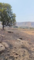  Agricultural Land for Sale in Khalapur, Navi Mumbai