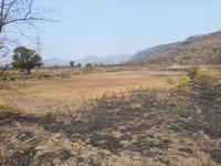  Agricultural Land for Sale in Khalapur, Navi Mumbai