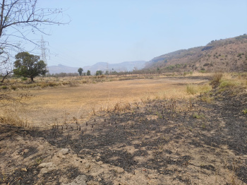  Agricultural Land for Sale in Khalapur, Navi Mumbai