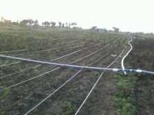  Agricultural Land for Sale in Veppur, Cuddalore