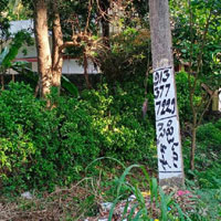  Residential Plot for Sale in Teachers Colony, Tanuku, West Godavari