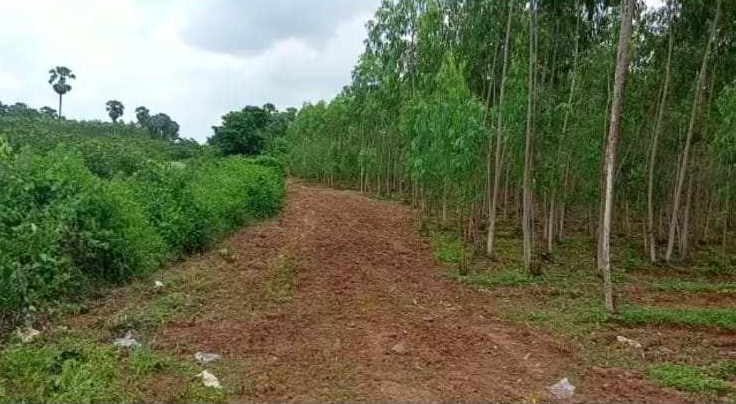 Agricultural Land 21 Acre for Sale in Jaggaiahpet, Krishna