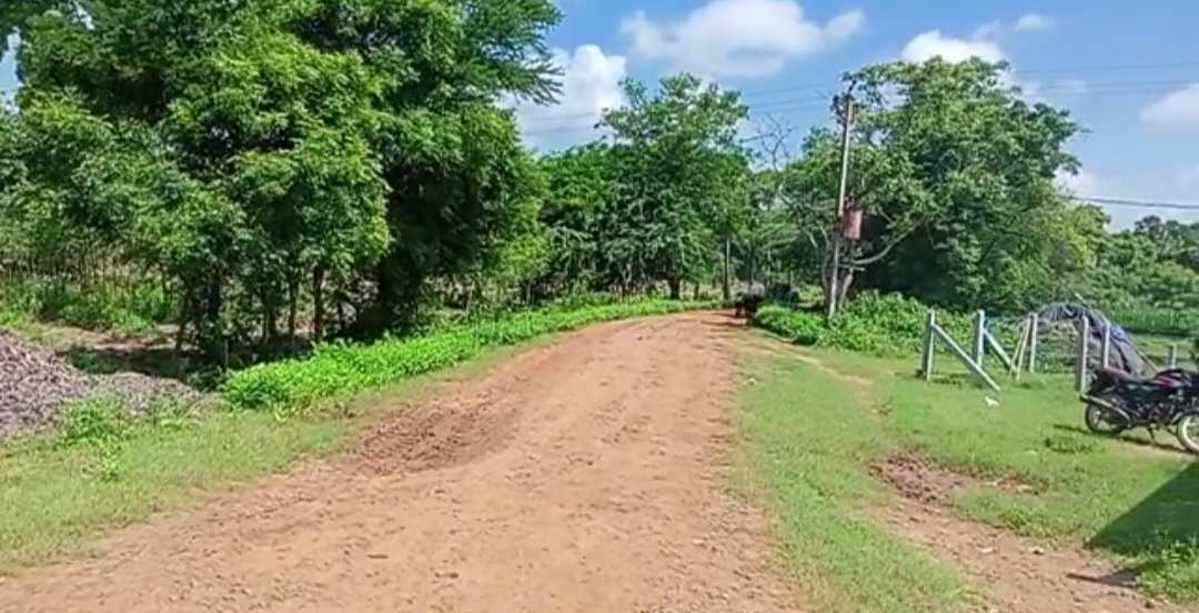 Agricultural Land 24 Acre for Sale in Gopalapuram, West Godavari