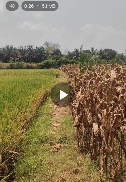 1 RK 2 Acre Farm House for Sale in FCI Colony, Tadepalligudem