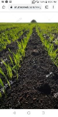  Agricultural Land for Sale in Veldurthi, Kurnool