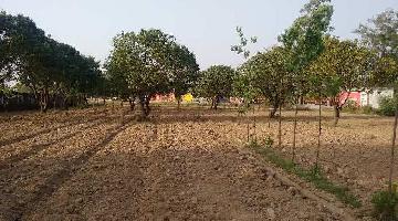  Agricultural Land for Sale in Transport Nagar, Moradabad