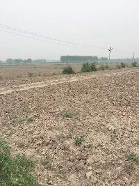  Agricultural Land for Sale in Bhagwatpur, Allahabad