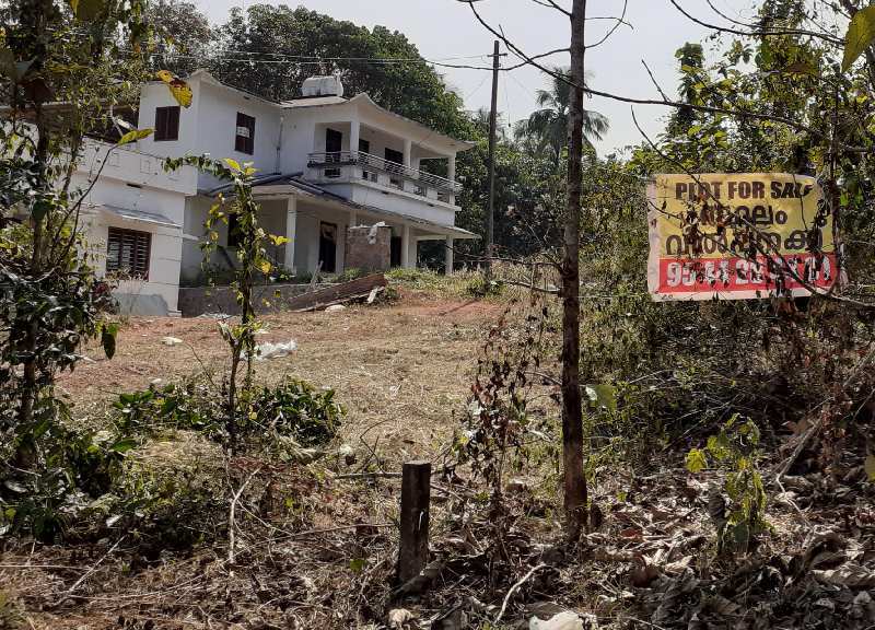 Residential Plot 8 Cent for Sale in Kalladikode, Palakkad