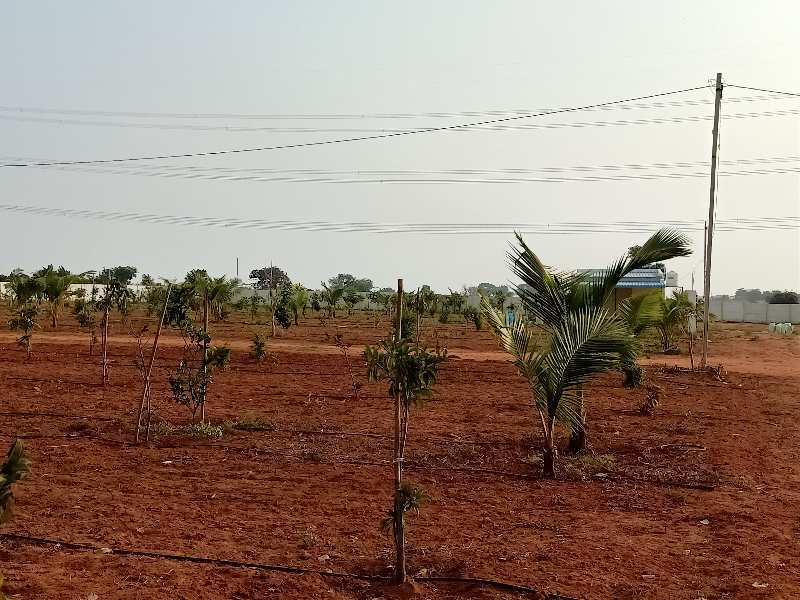 Agricultural Land 121 Sq. Yards for Sale in Adikmet, Hyderabad (REI868935)