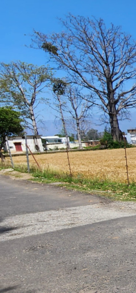 Commercial Land 1 Bigha for Sale in