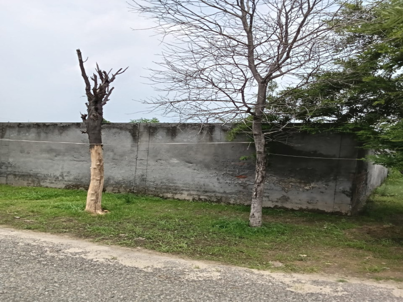  Residential Plot 8300 Sq.ft. for Sale in Narangpur, Jalandhar