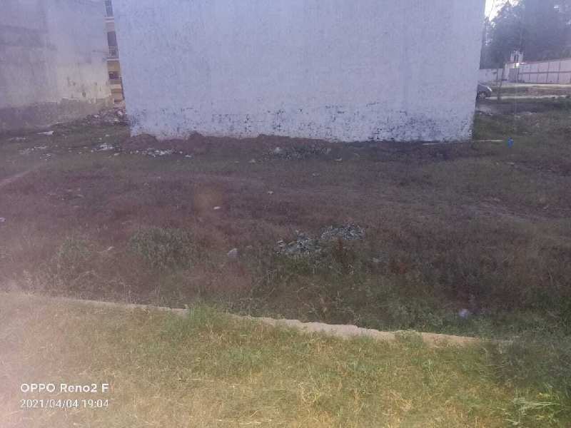  Residential Plot 1508 Sq.ft. for Sale in Nakodar, Jalandhar