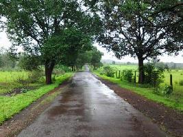  Agricultural Land for Sale in Kasara Budruk, Thane