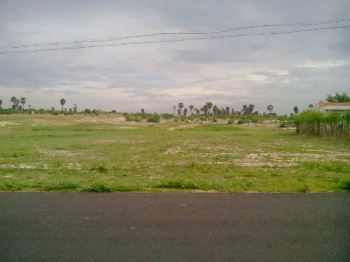  Agricultural Land for Rent in Punjai Puliampatti, Erode