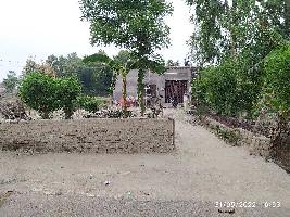  Residential Plot for Sale in Marfapur, Amethi