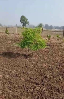 1 RK Farm House for Sale in Kolar Road, Bhopal