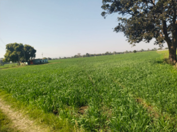  Residential Plot for Sale in Anwali Kheda, Sehore