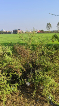  Residential Plot for Sale in Shri Ram Nagar, Vidisha