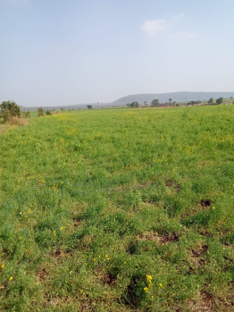  Agricultural Land for Sale in Sanchi, Raisen