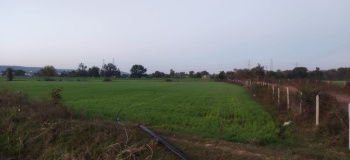  Agricultural Land for Sale in Sultanpur, Raisen