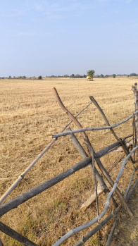  Agricultural Land for Sale in Bilkisganj, Sehore