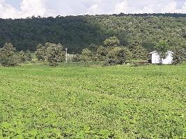  Agricultural Land for Sale in Anwali Kheda, Sehore