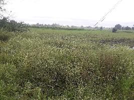  Agricultural Land for Sale in Khajuri Sadak, Bhopal