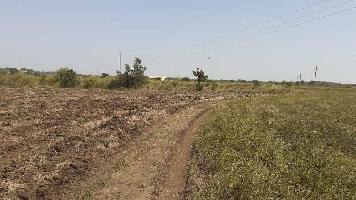 70 Acre Agricultural Land for Sale in Barkheda, Bhopal