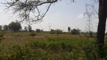 26 Acre Agricultural Land for Sale in Barkheda, Bhopal