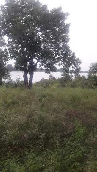  Agricultural Land for Sale in Ichhawar, Sehore