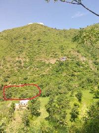  Agricultural Land for Sale in Chail, Solan
