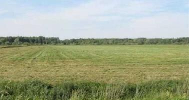  Agricultural Land for Sale in Athvelly, Medchal