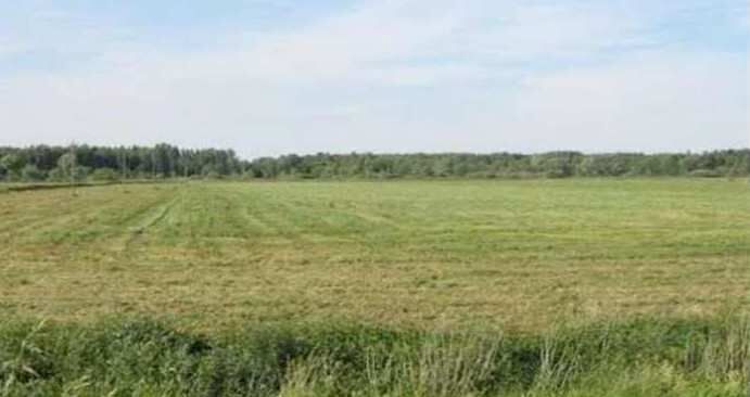  Agricultural Land 180 Acre for Sale in Athvelly, Medchal