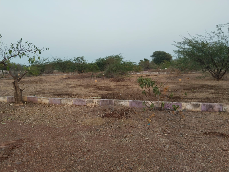  Residential Plot 1400 Sq.ft. for Sale in A Camp, Kurnool