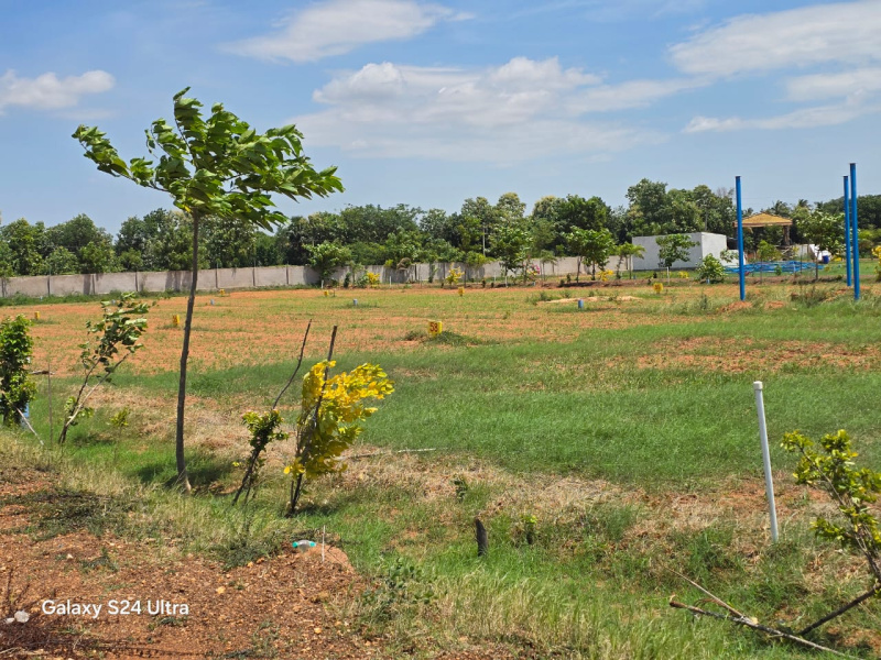  20 Cent Agricultural/Farm Land for Sale in Podalakur, Nellore