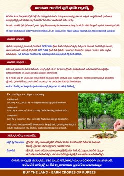 Residential Plot for Sale in Yerpedu, Tirupati