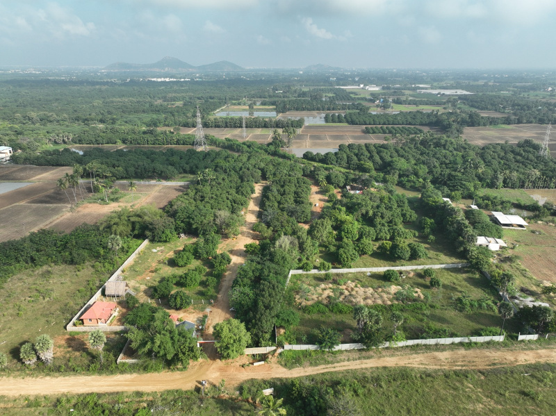  1800 Sq.ft. Residential Plot for Sale in Kuntrapakam, Tirupati