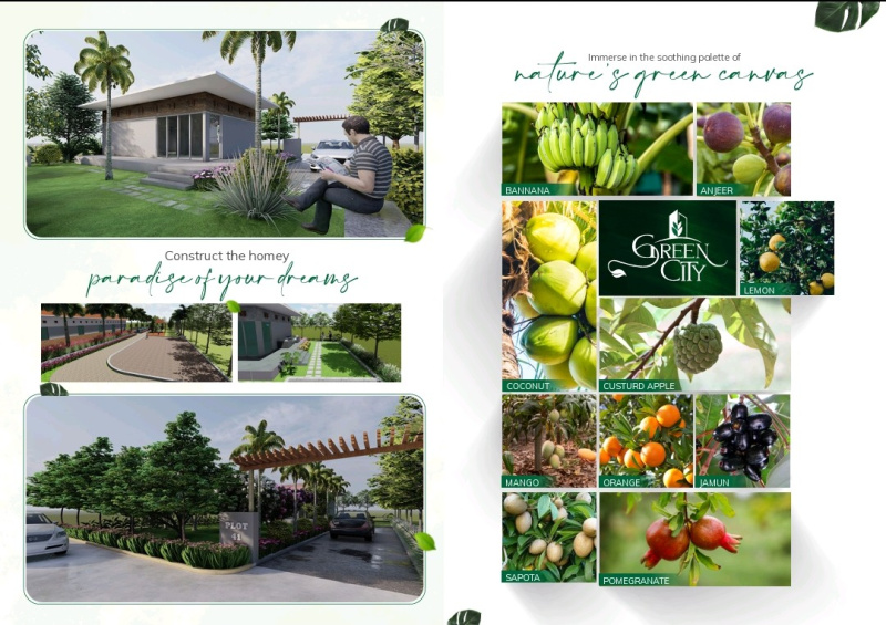  600 Sq. Yards Residential Plot for Sale in Shadnagar, Hyderabad