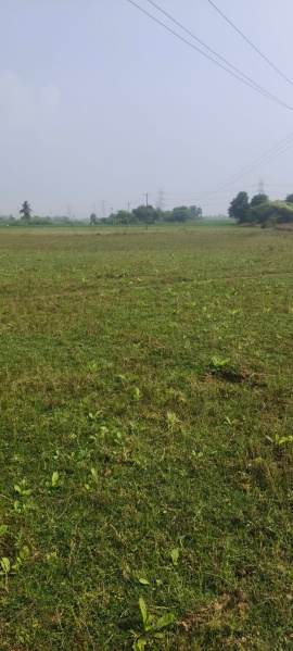  50 Acre Agricultural/Farm Land for Sale in Yerpedu, Tirupati