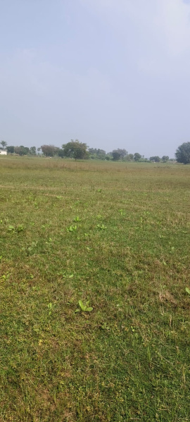 50 Acre Agricultural/Farm Land for Sale in Yerpedu, Tirupati