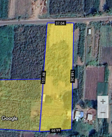 7 Acre Agricultural/Farm Land for Sale in Daund, Pune