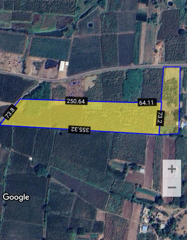 7 Acre Agricultural/Farm Land for Sale in Daund, Pune