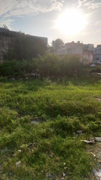  Residential Plot 160 Sq.ft. for Sale in Pithuwala Kalan, Dehradun