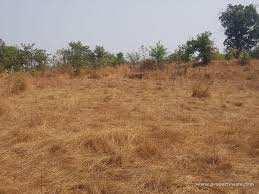  Agricultural Land for Sale in Sector 83 Faridabad