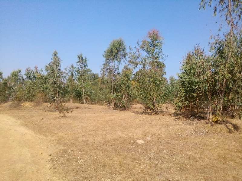  Agricultural Land 13 Acre for Sale in Bichhiya, Mandla