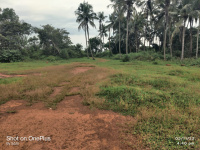  Residential Plot for Sale in Chettikulam, Kozhikode