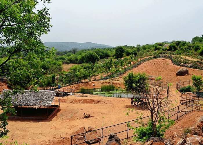  Agricultural Land 10000 Sq.ft. for Sale in Shoolagiri, Krishnagiri