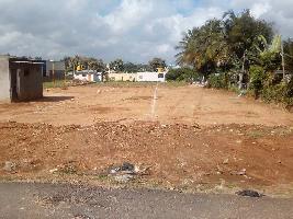  Agricultural Land for Sale in Hootagalli, Mysore