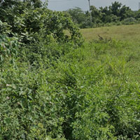  Agricultural Land for Sale in Poonamallee, Thiruvallur
